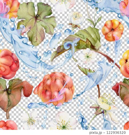 Cloudberry raspberry white flowers flying in water splashes waves drops, hand drawn in watercolor, ripe red forest berry and leaves. Seamless banner illustration for cafe menu, wedding, farmers market 122936320