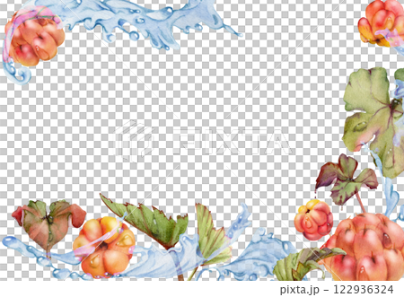 Cloudberry raspberry flying in wave water splashes with drops, hand drawn in watercolor, ripe red forest berry and leaves. Border frame illustration for restaurant, cafe menu, wedding, farmers market 122936324
