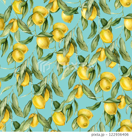 Seamless pattern with watercolor illustration of Lemon or Lime. Hand painted lemon branche with green leaves on white isolated background for juice label or icon. Seamless pattern with watercolor illustration of Lemon or Lime. Hand painted lemon branche with green leaves on white isolated background for juice label or icon. 122936406