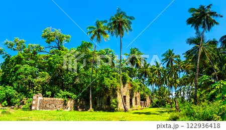 Old ruins of a penal colony in Saint Joseph Island, Salvation Islands, French Guiana, South America 122936418