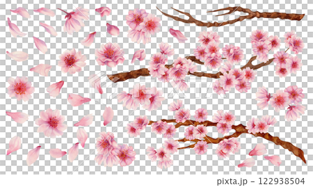 Large set of pink flowers, cherry petals, branches with flowers and bare branches. Realistic watercolor painting of spring blooming sakura flowers for Hanami festival. Shades of pink, lilac, purple. Large set of pink flowers, cherry petals, branches with flowers and bare branches. Realistic watercolor painting of spring blooming sakura flowers for Hanami festival. Shades of pink, lilac, purple. 122938504