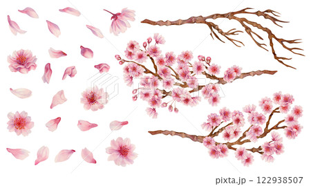 Large set of pink flowers, cherry petals, branches with flowers and bare branches. Realistic watercolor painting of spring blooming sakura flowers for Hanami festival. Shades of pink, lilac, purple. 122938507