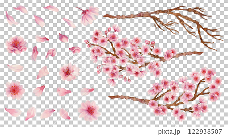 Large set of pink flowers, cherry petals, branches with flowers and bare branches. Realistic watercolor painting of spring blooming sakura flowers for Hanami festival. Shades of pink, lilac, purple. Large set of pink flowers, cherry petals, branches with flowers and bare branches. Realistic watercolor painting of spring blooming sakura flowers for Hanami festival. Shades of pink, lilac, purple. 122938507