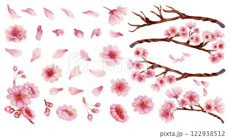 Large set of pink flowers, cherry petals, branches with flowers and bare branches. Realistic watercolor painting of spring blooming sakura flowers for Hanami festival. Shades of pink, lilac, purple. 122938512