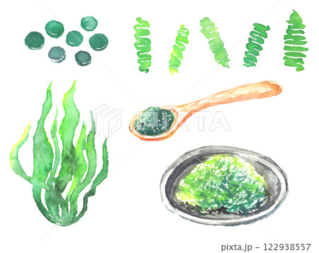 スピルリナの水彩イラスト スピルリナの水彩イラスト 122938557