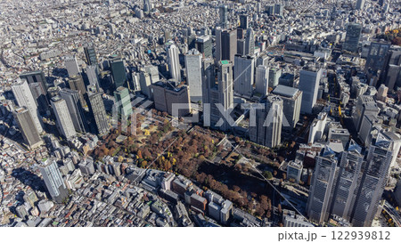 東京 空撮 ドローン撮影 新宿 都庁 東京 空撮 ドローン撮影 新宿 都庁 122939812