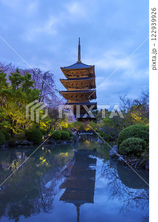 ライトアップされた東寺の五重塔 東寺の五重塔と桜の夜景 京都観光名所 東寺の夜桜の風景 ライトアップされた東寺の五重塔 東寺の五重塔と桜の夜景 京都観光名所 東寺の夜桜の風景 122939926