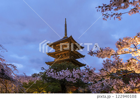 ライトアップされた東寺の五重塔　東寺の五重塔と桜の夜景　京都観光名所　東寺の夜桜の風景 122940108