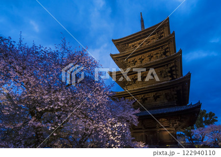 ライトアップされた東寺の五重塔　東寺の五重塔と桜の夜景　京都観光名所　東寺の夜桜の風景 122940110