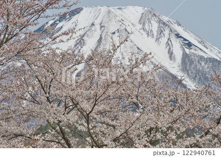 桜と残雪の大山(鳥取県西伯郡伯耆町) 桜と残雪の大山(鳥取県西伯郡伯耆町) 122940761