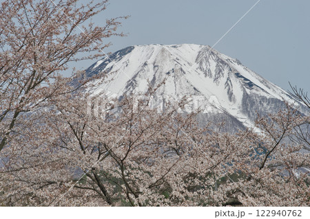 桜と残雪の大山（鳥取県西伯郡伯耆町） 122940762