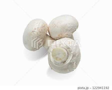 Fresh champignon mushrooms isolated on white background.  Fresh champignon mushrooms isolated on white background.  122941192