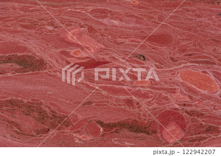 港に流れ着いたサンゴの卵　小笠原 122942207