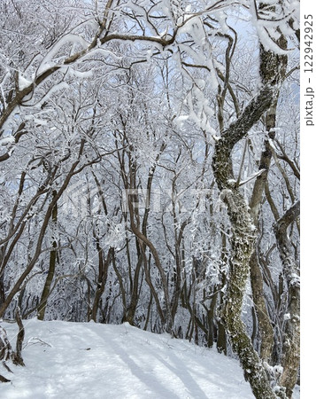 三峰山の美しい霧氷 122942925