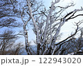 高見山の美しい霧氷 122943020