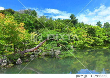 【京都府】万緑の天龍寺の曹源池庭園 【京都府】万緑の天龍寺の曹源池庭園 122943830