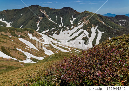 万太郎山の登りから見る残雪の谷川岳への稜線 122944242
