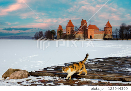 Cat walking against Trakai Island Castle in winter. Focus on the cat Cat walking against Trakai Island Castle in winter. Focus on the cat 122944399