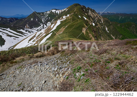 谷川連峰縦走路から見る残雪の万太郎山 谷川連峰縦走路から見る残雪の万太郎山 122944462
