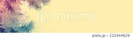 Pine brunch on light yellow background. Horizontal banner. Winter Christmas background Pine brunch on light yellow background. Horizontal banner. Winter Christmas background 122944629