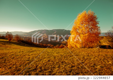 Mountain landscape in the early autumn morning. Beautiful nature landscape. Carpathian mountains. Ukraine 122944657
