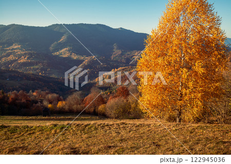 Mountain landscape in the early autumn morning. Beautiful nature landscape. Carpathian mountains. Ukraine Mountain landscape in the early autumn morning. Beautiful nature landscape. Carpathian mountains. Ukraine 122945036