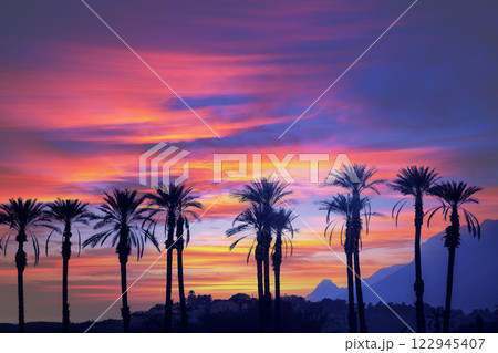 A row of tropical palm trees against a dramatic sunset sky. Gradient color. Silhouette of tall palm trees. Tropical evening landscape. Beautiful tropical nature A row of tropical palm trees against a dramatic sunset sky. Gradient color. Silhouette of tall palm trees. Tropical evening landscape. Beautiful tropical nature 122945407