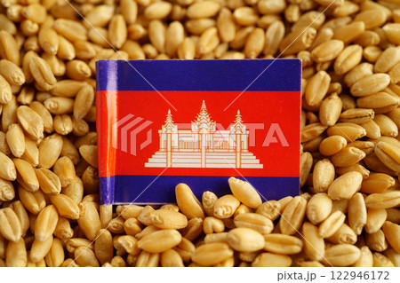 Cambodia flag on grain wheat, trade export and economy concept. 122946172