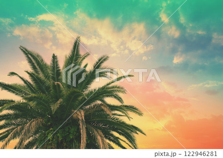Palm trees against the sunset sky. Pink-yellow color gradient. Beautiful tropical evening nature 122946281