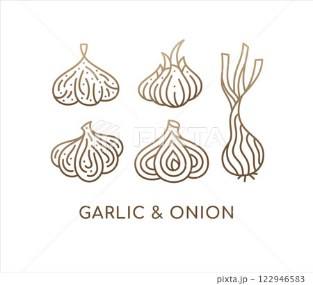 Onion and garlic linear set icons. Logo vegan food. Ripe root. Spices sliced vegetable. Vector contour illustration. 122946583