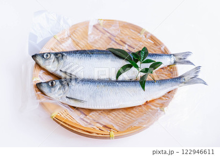 塩ニシン 122946611