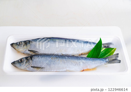 パック入り塩ニシン パック入り塩ニシン 122946614