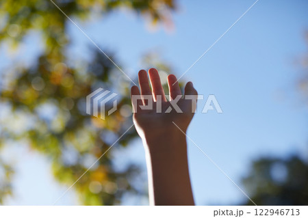 秋の公園の緑の森と青空と小学生の女の子の手の様子 122946713