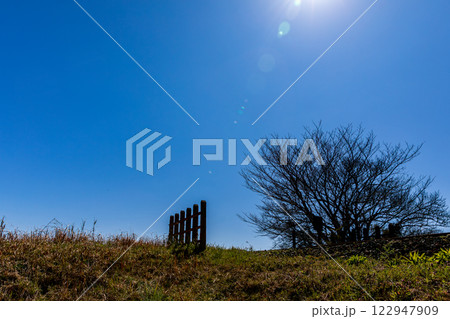 静岡県掛川市幡鎌　天竜浜名湖鉄道と沿線の風景 122947909