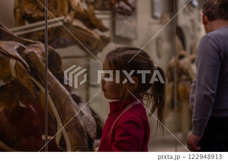 A curious little girl looks at a large dinosaur skeleton at a natural history museum and learns about prehistoric life with her family. A child on a museum excursion with her family. A curious little girl looks at a large dinosaur skeleton at a natural history museum and learns about prehistoric life with her family. A child on a museum excursion with her family. 122948913