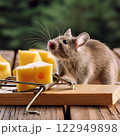 Cute mouse sniffing at the cheese that is on the mousetrap 122949898