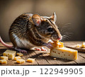 Small mouse eating a lot of cheese 122949905