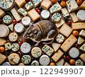 Happy mouse, a picture of a mouse surrounded by lots of different types of cheese 122949907
