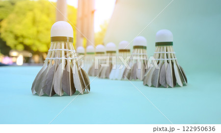 A dark colored shuttlecock resting on a light green surface, with a soft focus background creating depth. 122950636