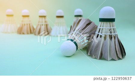 A dark colored shuttlecock resting on a light green surface, with a soft focus background creating depth. 122950637