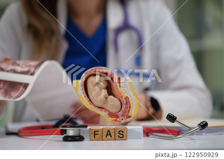 A Medical Professional is analyzing a detailed Ear Anatomy Model for educational purposes 122950929
