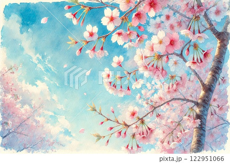 桜と青空 122951066