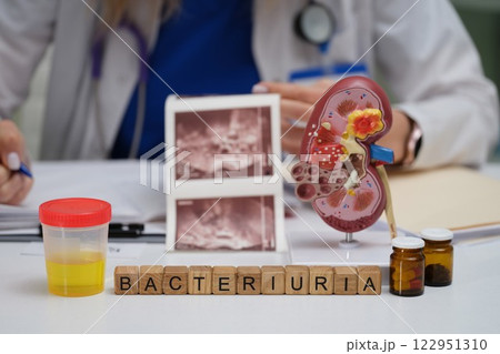 A Comprehensive Medical Analysis of Bacteriuria Utilizing a Kidney Model and Laboratory Samples A Comprehensive Medical Analysis of Bacteriuria Utilizing a Kidney Model and Laboratory Samples 122951310