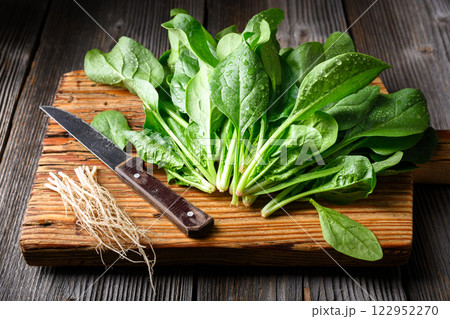 Green spinach leaves chopped with a vintage knife 122952270