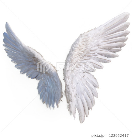 A striking white wing sculpture features numerous detailed feathers 122952417