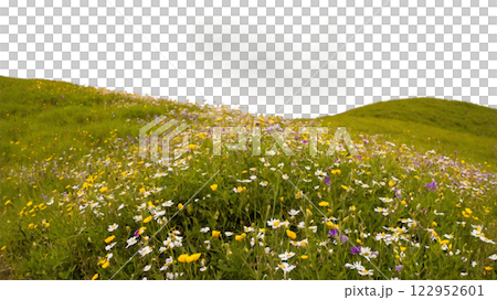 Wildflower meadow blooming on a hilltop at midday in spring under cloudy skies 122952601