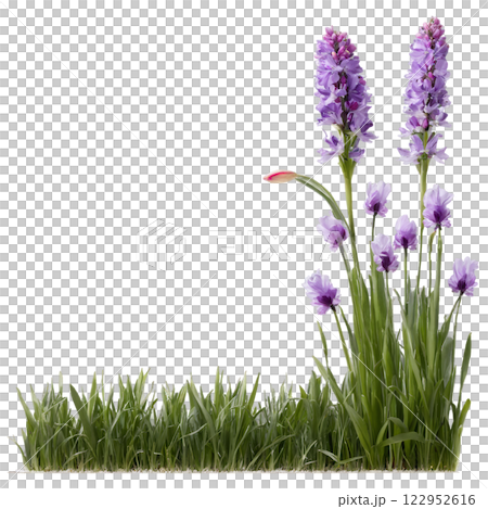 Elegant white flowers with green leaves arranged against a plain background for artistic display 122952616