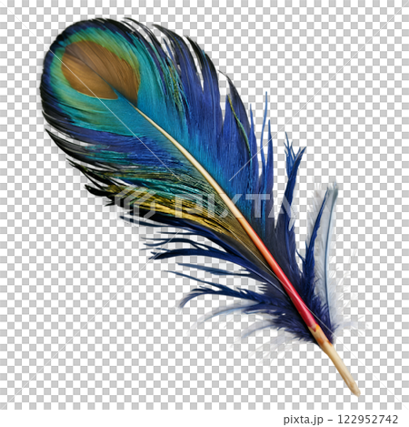 Vibrant peacock feather displaying brilliant colors against a neutral background in natural light 122952742
