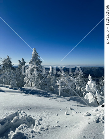 Winter landscape - frosty trees, fir trees in the winter forest in cold weather. Calm nature of winter forest under snowfall. Winter landscape - frosty trees, fir trees in the winter forest in cold weather. Calm nature of winter forest under snowfall. 122952966
