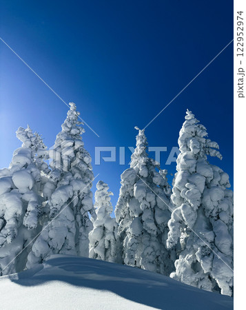 Winter landscape - frosty trees, fir trees in the winter forest in cold weather. Calm nature of winter forest under snowfall. Winter landscape - frosty trees, fir trees in the winter forest in cold weather. Calm nature of winter forest under snowfall. 122952974